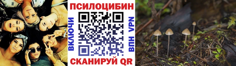 Псилоцибиновые грибы мицелий Азов
